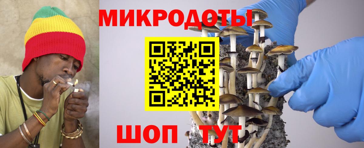 Камышлов  Псилоцибиновые грибы GOLDEN TEACHER  Вход с VPN 