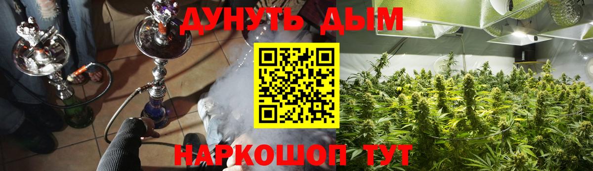 Бошки марихуана THC 21%  Вход с VPN  Канабис Bruce Banner  Каннабис AK-47  Камышлов  Каннабис гибрид 